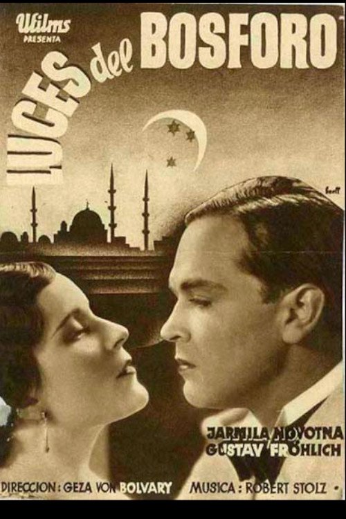 The Night of the Great Love movie poster