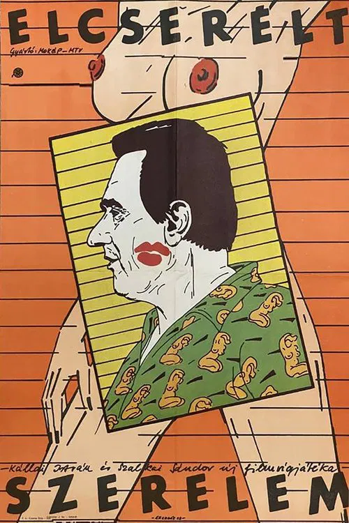 Poster do filme Elcserélt szerelem