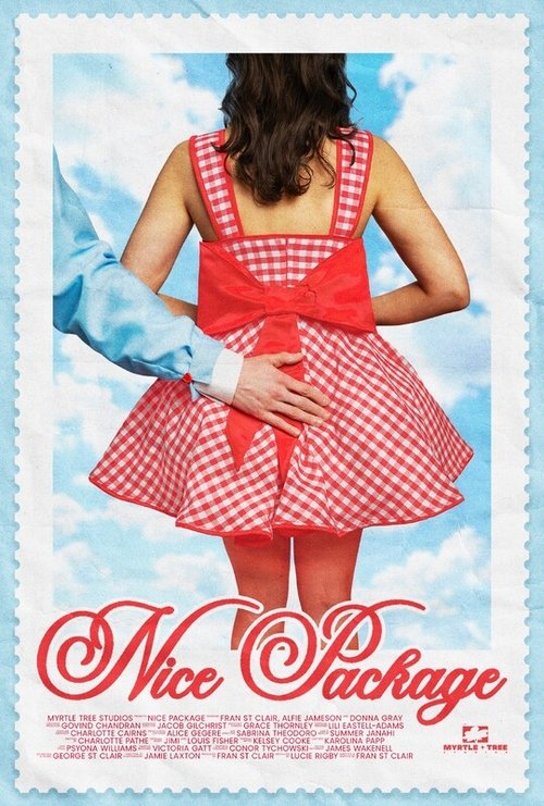 Nice Package movie poster