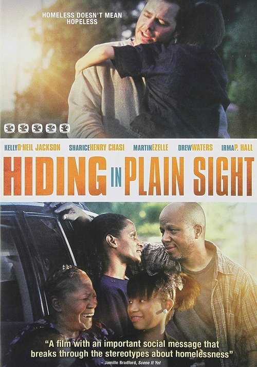 Hiding In Plain Sight movie poster