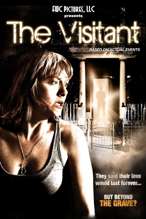 The Visitant movie poster