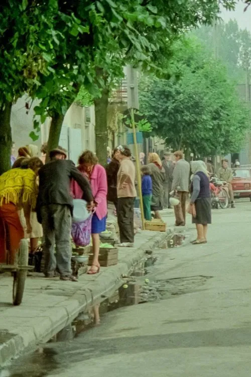 Fortune Favours Łęczna movie poster