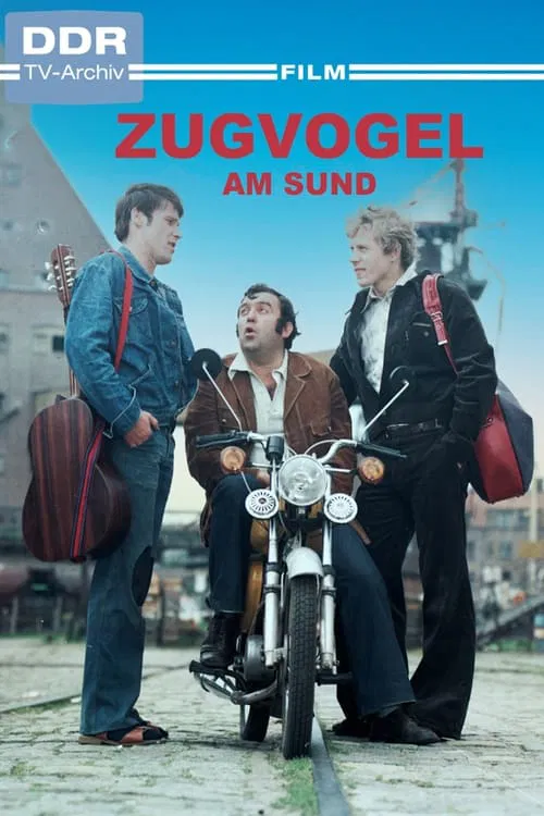 Poster do filme Zugvogel am Sund