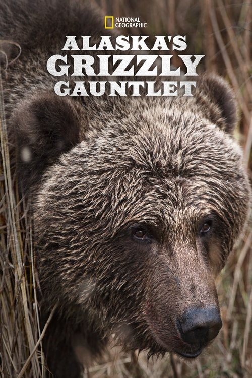 Alaska's Grizzly Gauntlet tv show poster