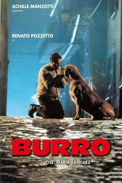 Burro movie poster