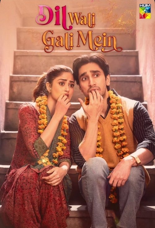 Dil Wali Gali Mein tv show poster