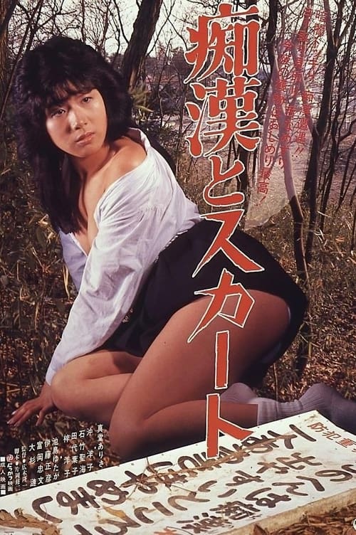Chikan to sukāto movie poster