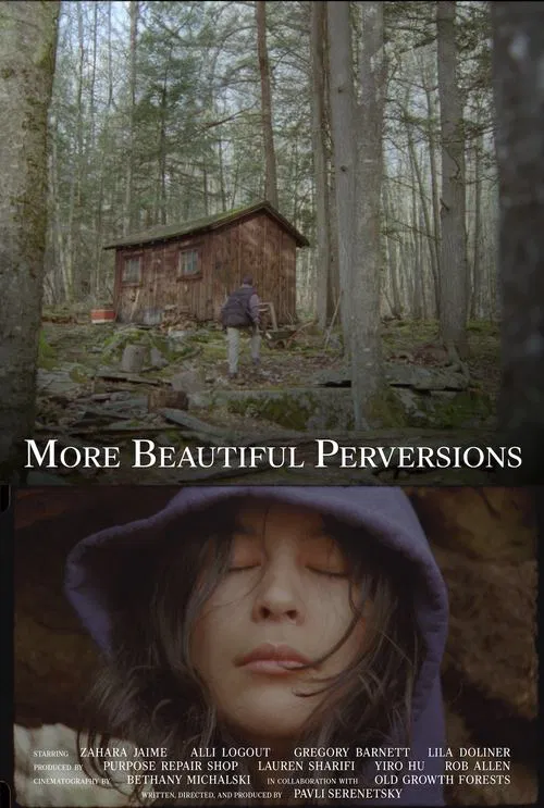 MORE BEAUTIFUL PERVERSIONS movie poster