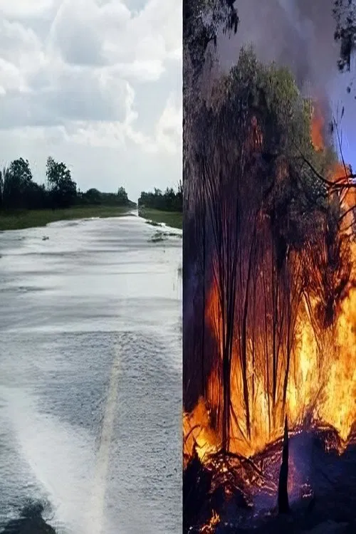 Patient Klima movie poster