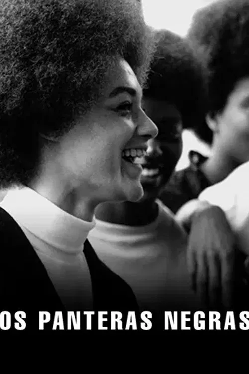 Poster do filme Os Panteras Negras