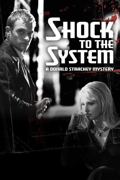 Shock to the System: A Donald Strachey Mystery movie poster