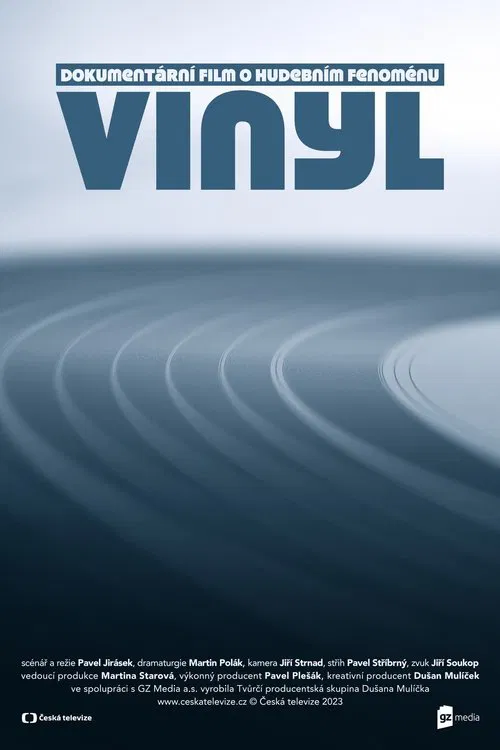 Vinyl movie poster