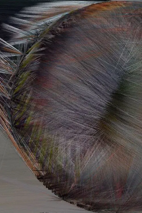 Beijing Bicycles movie poster