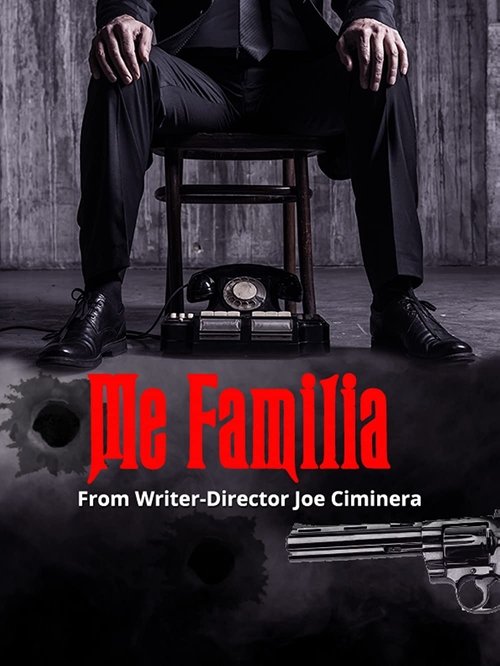 Me Familia movie poster