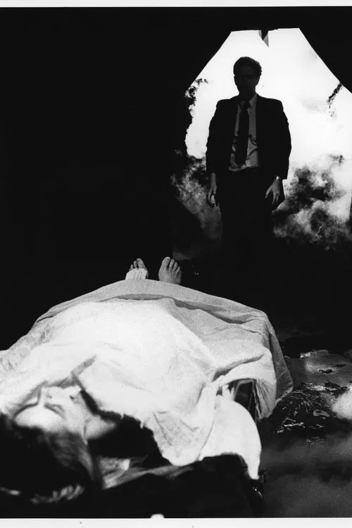 She's So Cold movie poster