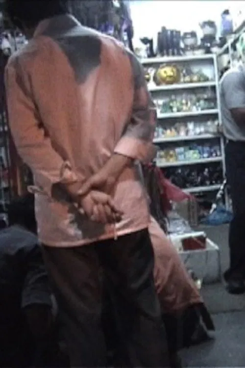 When the Cricket Sings movie poster