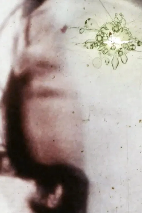 Possesed by a White Shadow movie poster