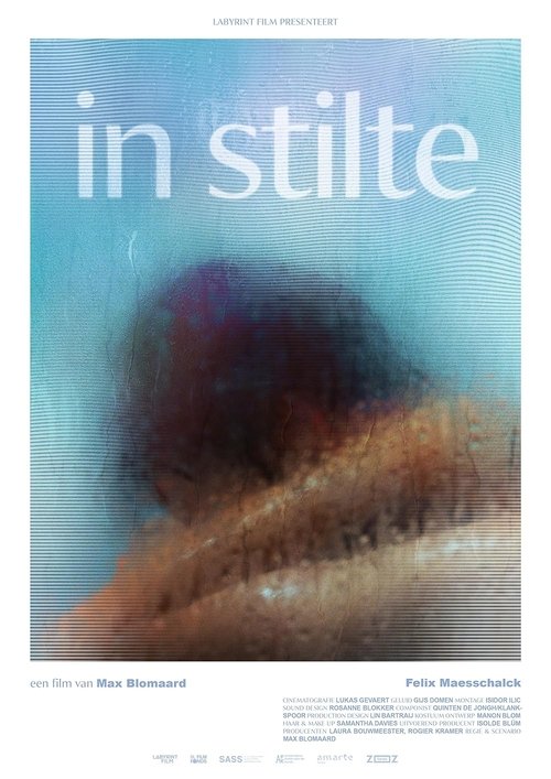 Poster do filme In Silence