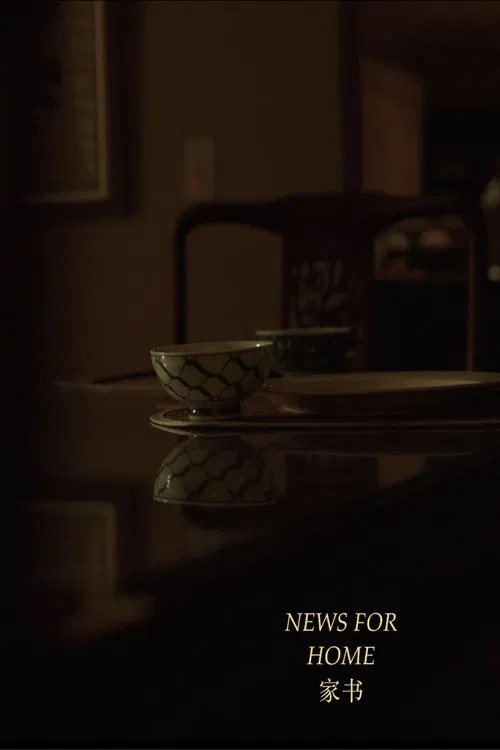 News for Home movie poster
