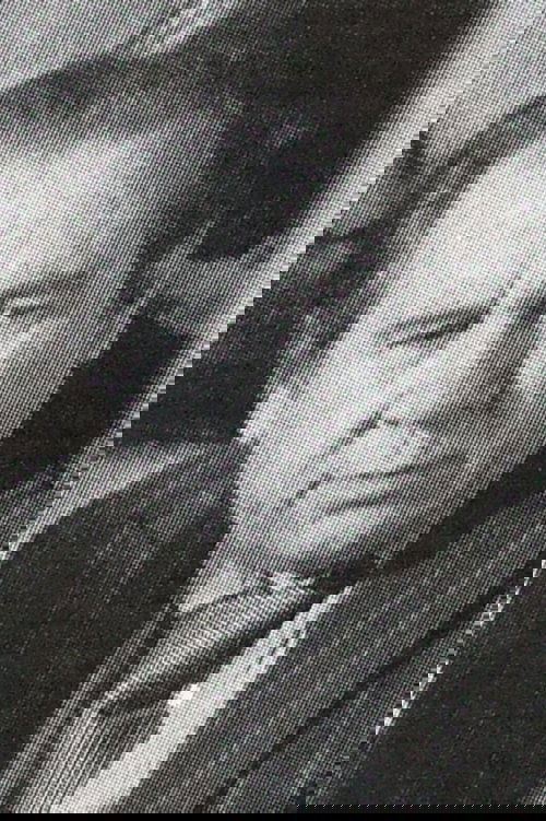 Nikola Todev profile picture