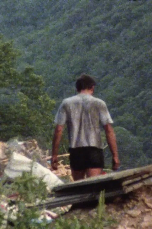 Stranger II movie poster