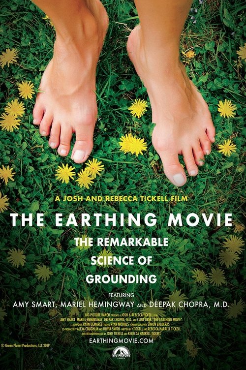 Poster do filme The Earthing Movie