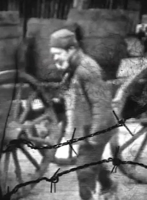 Poster do filme Camp