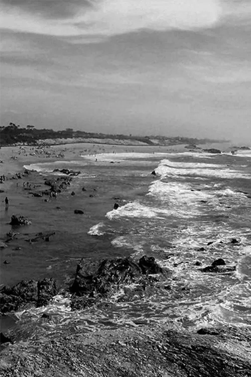 Miramar, Praia das Rosas movie poster