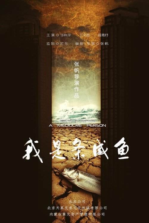 我是条咸鱼 movie poster