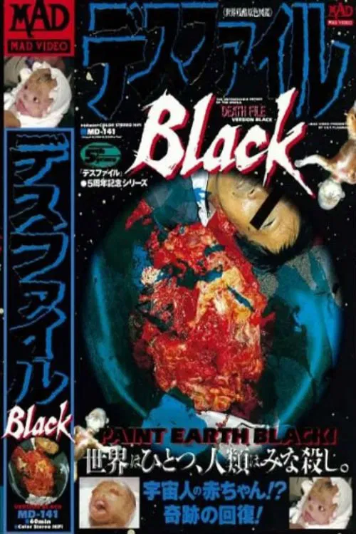 Death File: Black movie poster