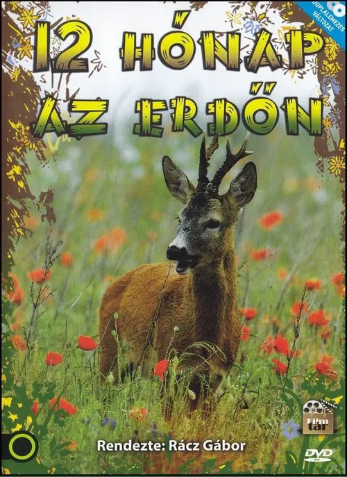 12 hónap az erdőn tv show poster