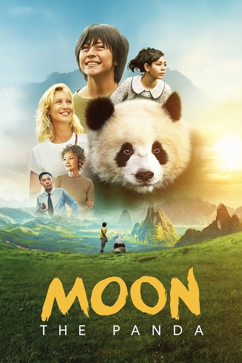 Moon The Panda movie poster