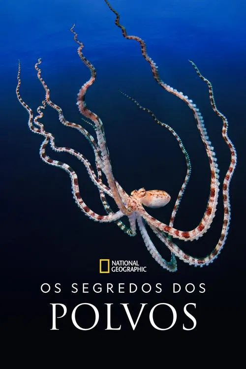 Poster da série Segredos dos Polvos