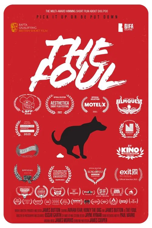 The Foul movie poster