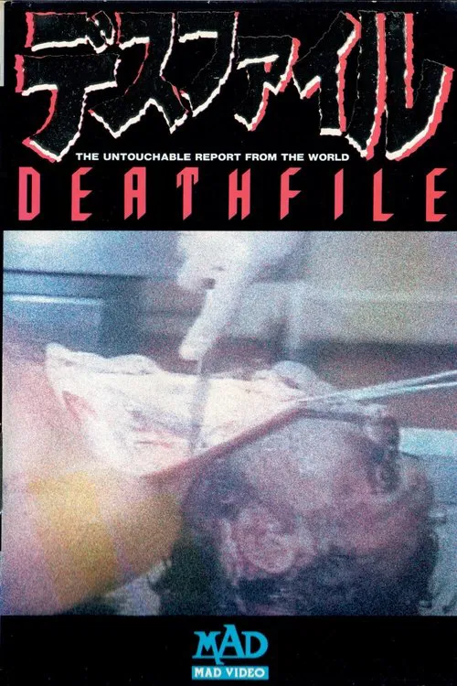 Death File movie poster