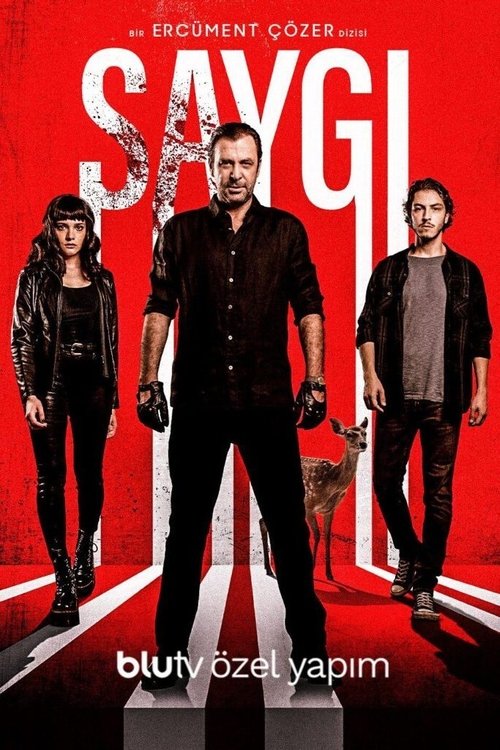 Respect tv show poster
