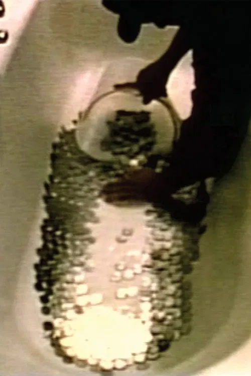 Per una giornata di malumore nazionale movie poster