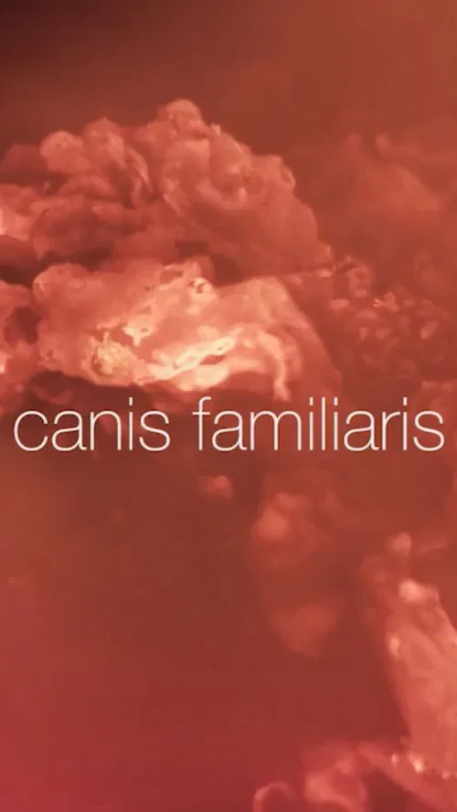 Canis familiaris movie poster