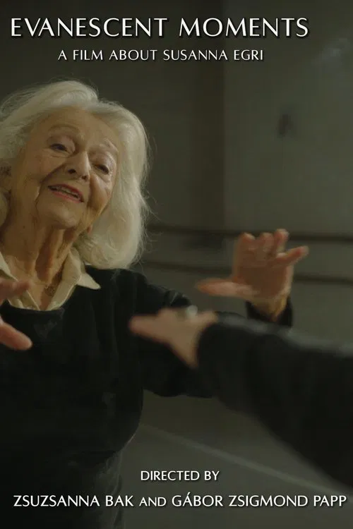 Evanescent Moments movie poster