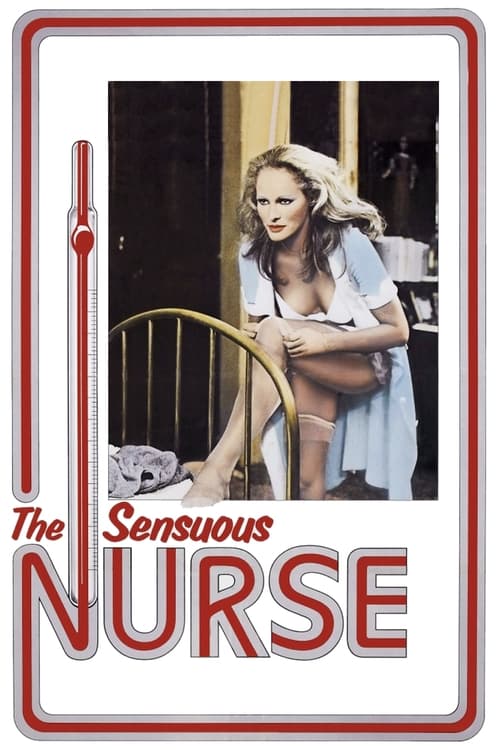 The Sensuous Nurse movie poster