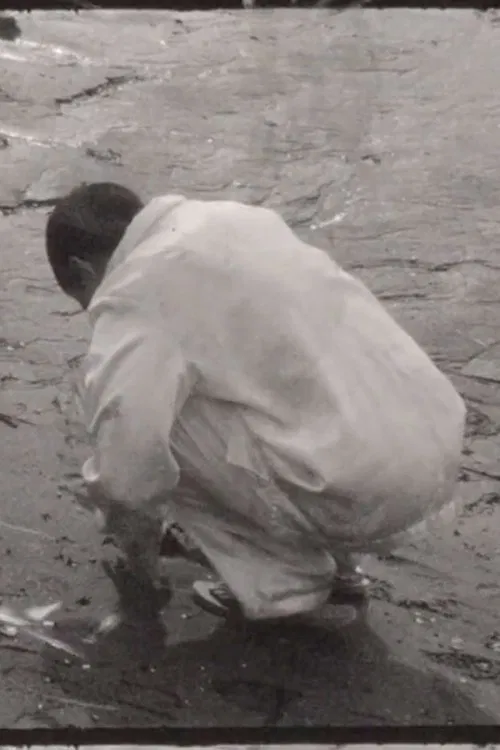 Visions movie poster