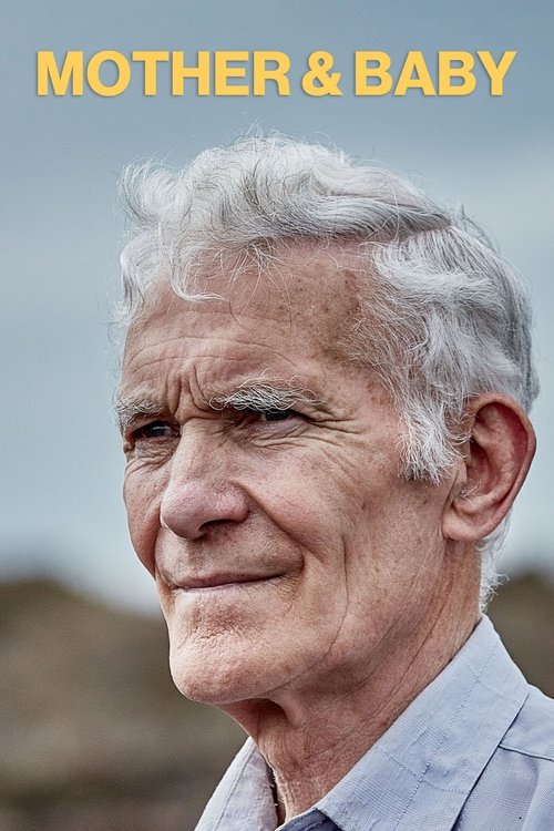 Mother & Baby movie poster