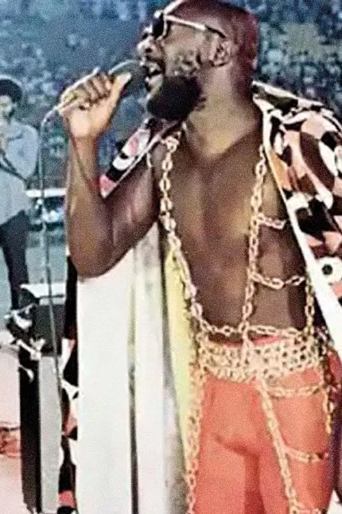 The Soul of Stax movie poster