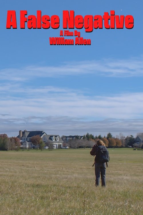 A False Negative movie poster