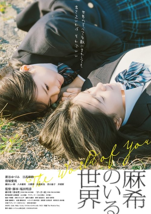 Poster do filme The World of You