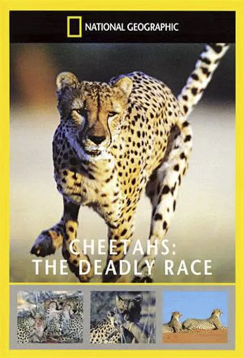 Cheetahs: The Deadly Race movie poster
