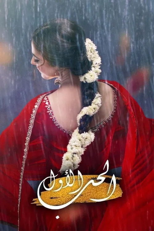 Pehli Si Muhabbat tv show poster