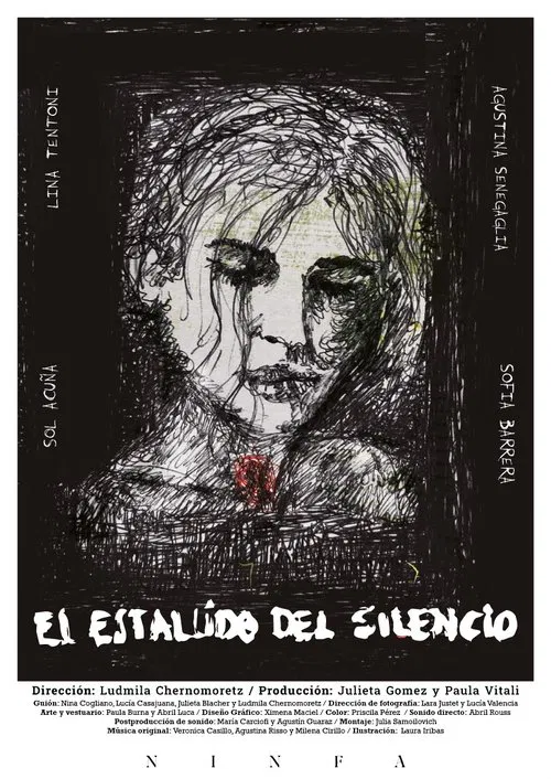 Poster do filme El Estallido del Silencio