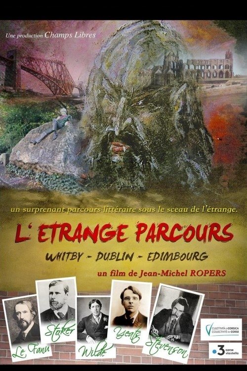 L'Étrange parcours movie poster