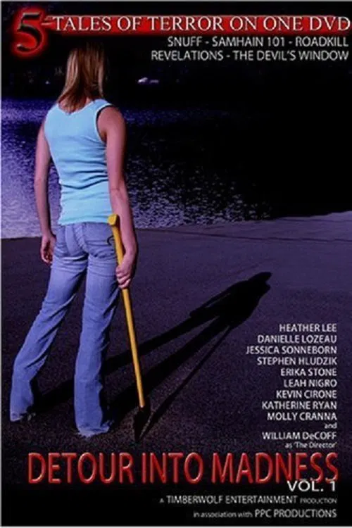 Detour Into Madness Vol 1. movie poster